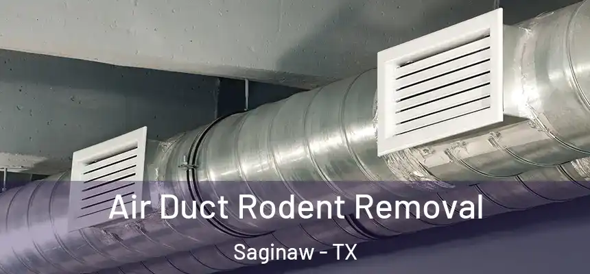  Air Duct Rodent Removal Saginaw - TX
