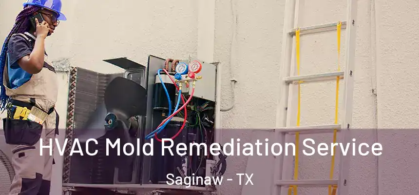 HVAC Mold Remediation Service Saginaw - TX