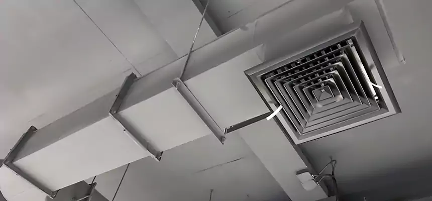 Our Pest Removal From Ducts Services in Saginaw, TX