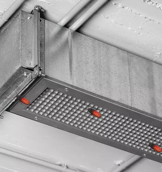 About Air Duct Cockroach Removal in Saginaw, TX