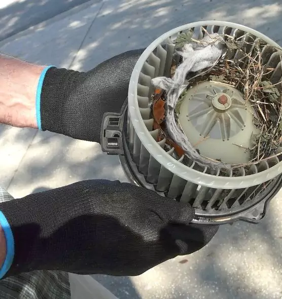 About Air Duct Mice Removal in Saginaw, TX